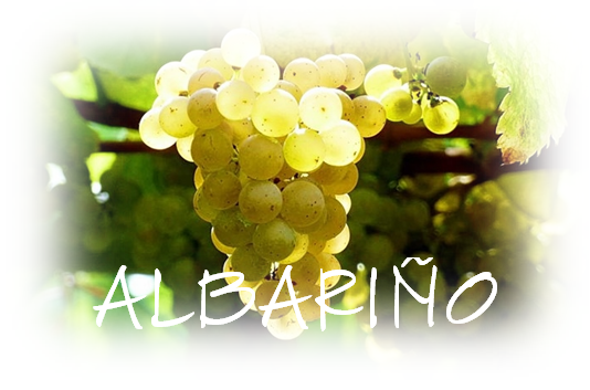 ALBARIÑO
