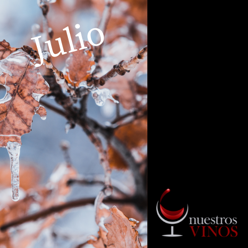 Promo Julio