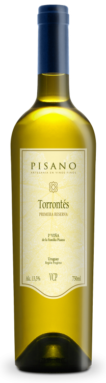 TORRONTES - 1° VIÑA DE LA FAMILIA PISANO