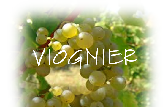 VIOGNIER 