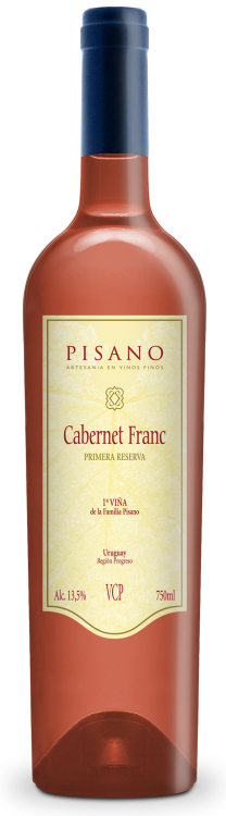 CABERNET FRANC - 1° VIÑA DE LA FAMILIA PISANO