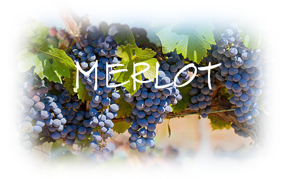 MERLOT