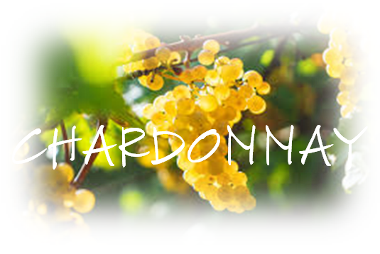 CHARDONNAY
