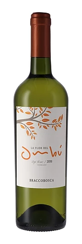BRACCO BOSCA UGNI BLANC