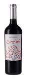 BRACCO BOSCA RESERVA PETIT VERDOT